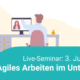 Live-Seminar am 03. Juni 2020 - Man sieht die Illustration einer Person am Schreibtisch, die sich gerade ein Webinar anschaut. Titel des Webinars: Agiles Arbeiten im Unterricht