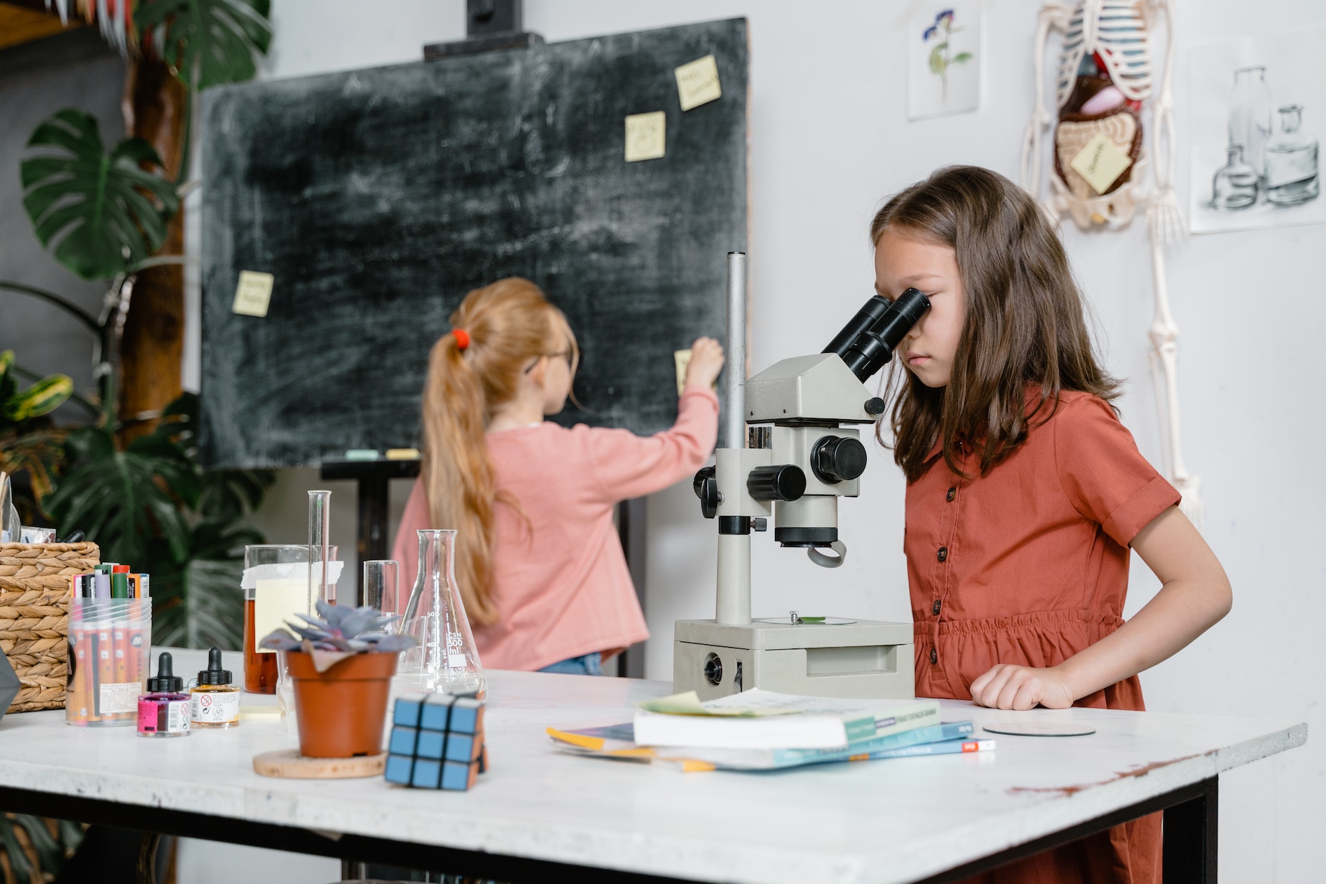 Eine Schülerin, die durch ein Mikroskop schaut und eine Schülerin, die an die Tafel schreibt