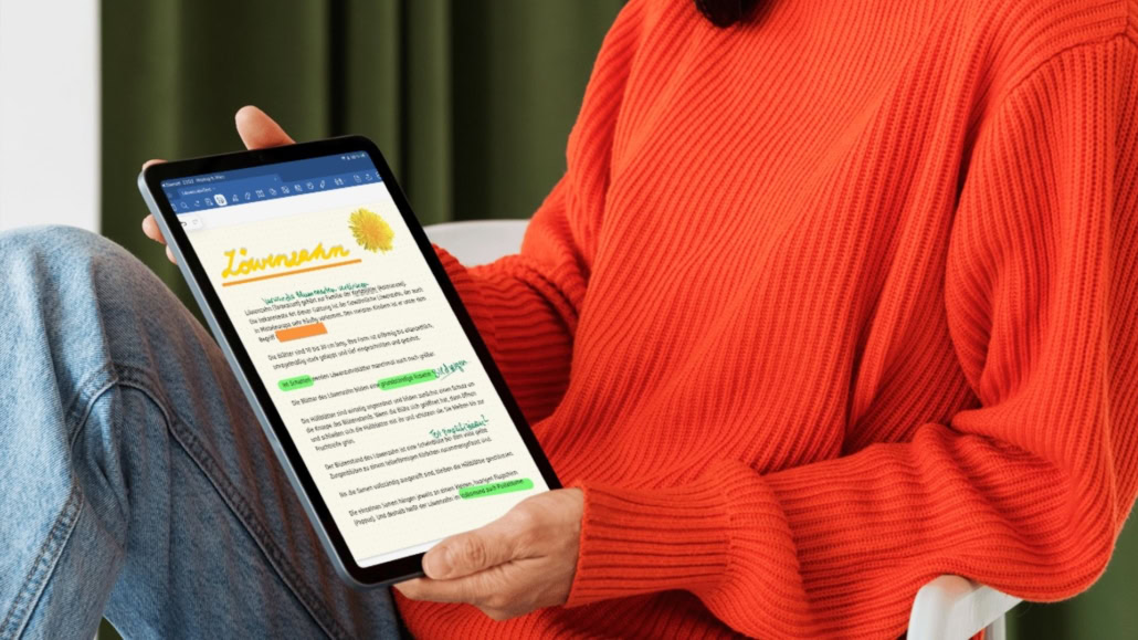 Interviewbild Goodnotes Grundlagen: Organisation von Unterrichtsnotize 1